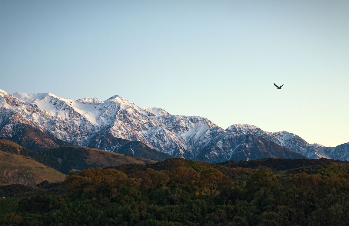 Flying to Manakau